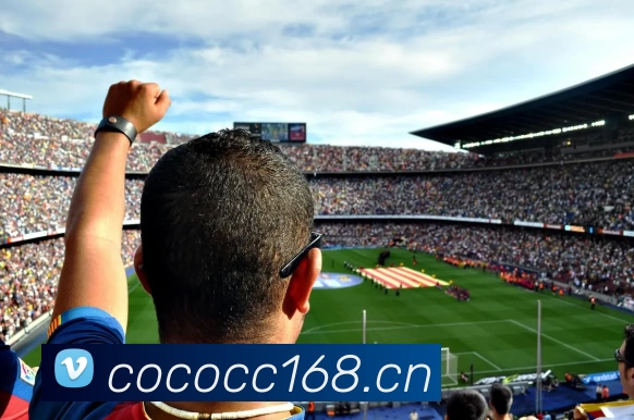 App Interface Preview