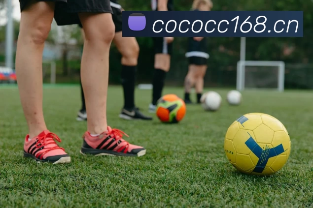 九游·官方版web站入口 - Jiuyou j9(中国)APP 封面图